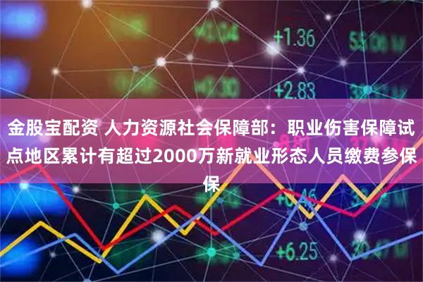 金股宝配资 人力资源社会保障部：职业伤害保障试点地区累计有超过2000万新就业形态人员缴费参保