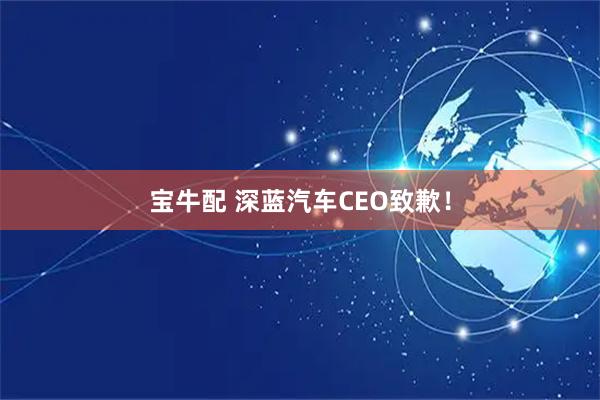 宝牛配 深蓝汽车CEO致歉！