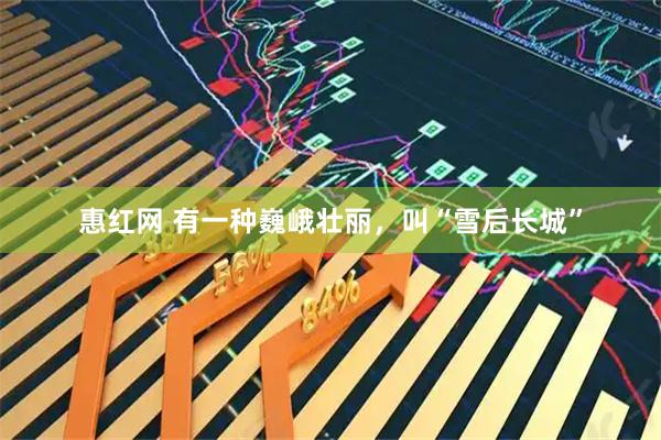 惠红网 有一种巍峨壮丽，叫“雪后长城”