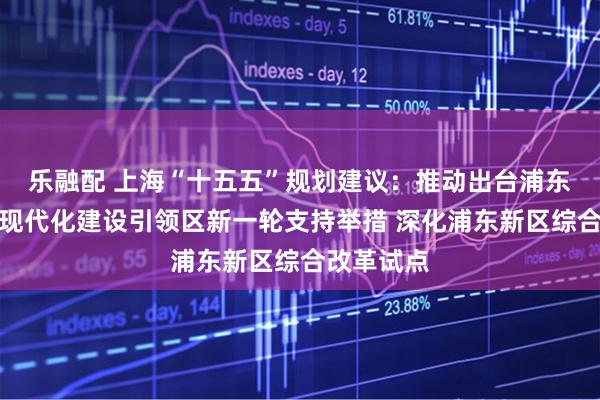 乐融配 上海“十五五”规划建议：推动出台浦东社会主义现代化建设引领区新一轮支持举措 深化浦东新区综合改革试点