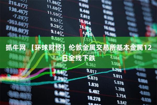 抓牛网 【环球财经】伦敦金属交易所基本金属12日全线下跌