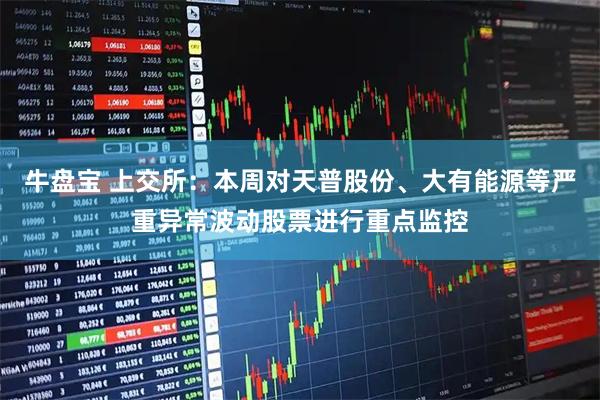 牛盘宝 上交所：本周对天普股份、大有能源等严重异常波动股票进行重点监控